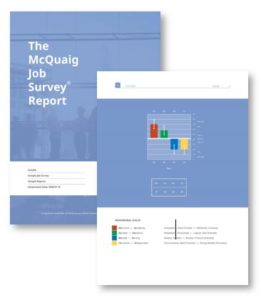 Job Survey Report Cover & Graph